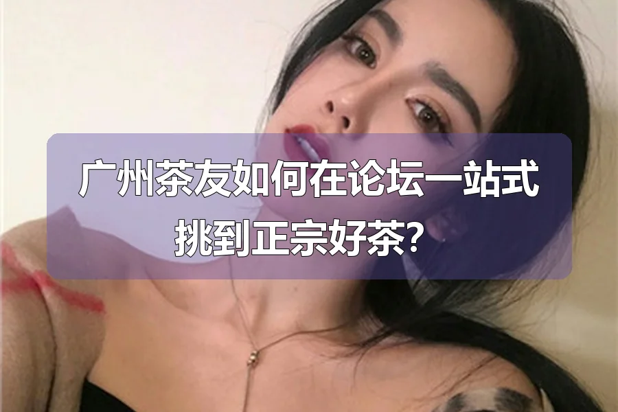 广州茶友如何在论坛一站式挑到正宗好茶？